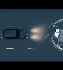 Blind Spot Assist L494