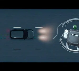 Blind Spot Assist L405